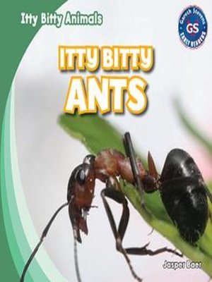 cover image of Itty Bitty Ants